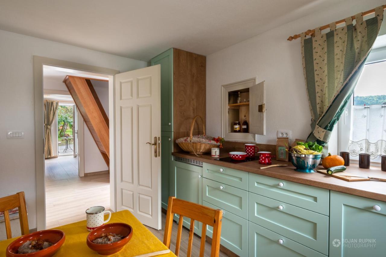 Cherry House - Cosy House - Ideal For Bear Watching, In The Neighborhood Of The Medieval Sneznik Castle Stari Trg pri Lozu Экстерьер фото