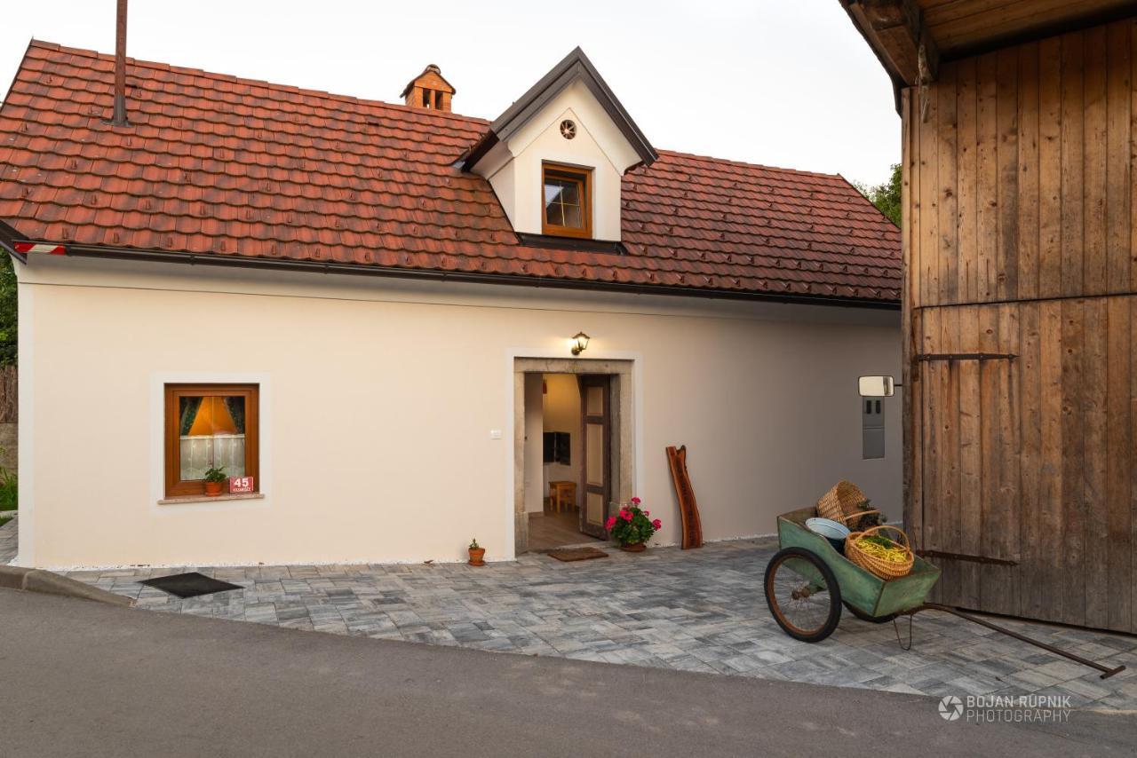Cherry House - Cosy House - Ideal For Bear Watching, In The Neighborhood Of The Medieval Sneznik Castle Stari Trg pri Lozu Экстерьер фото
