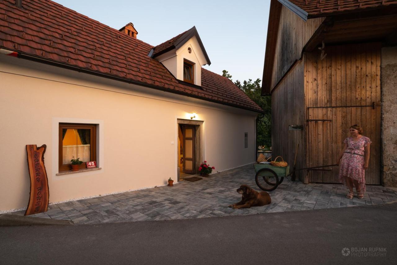 Cherry House - Cosy House - Ideal For Bear Watching, In The Neighborhood Of The Medieval Sneznik Castle Stari Trg pri Lozu Экстерьер фото