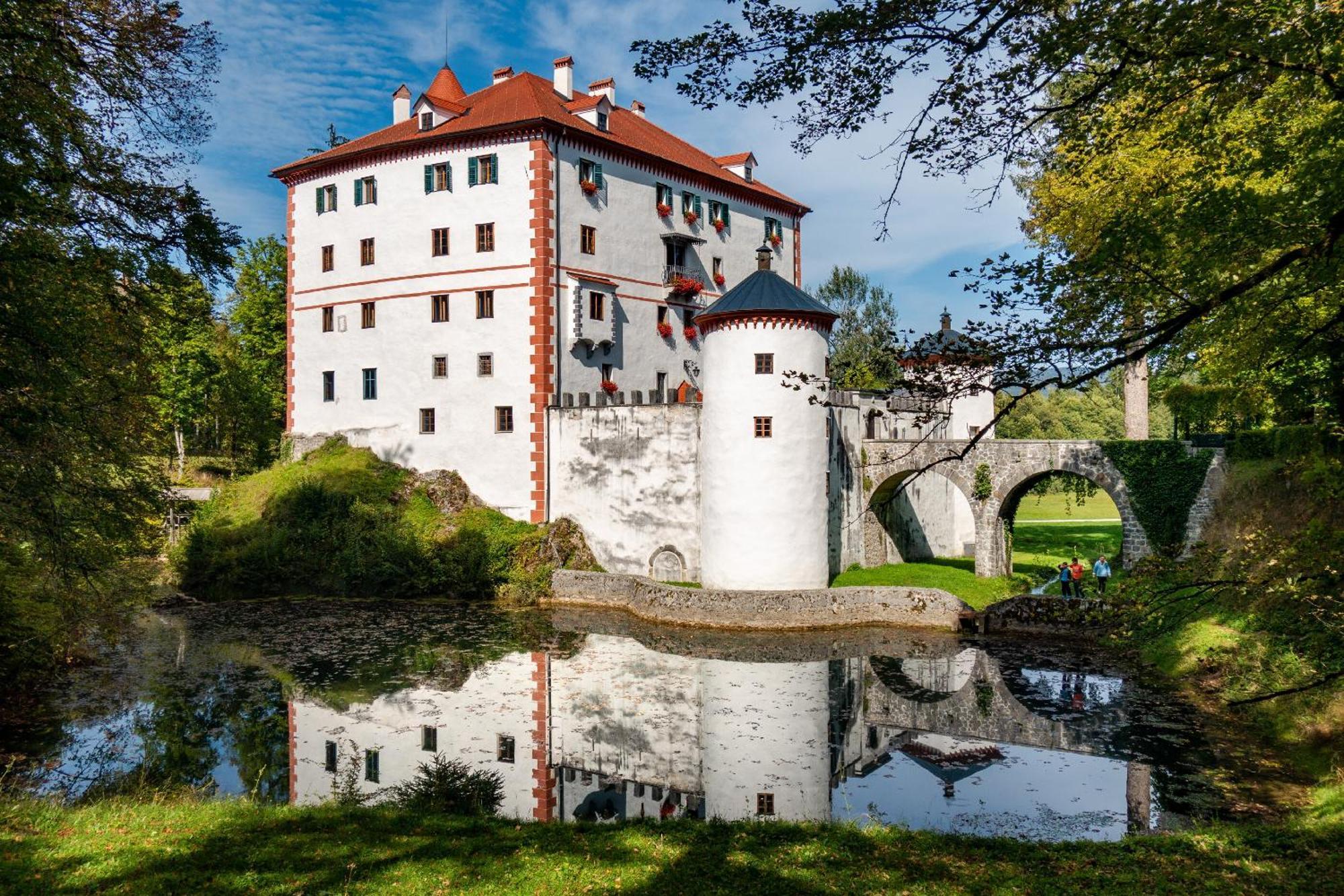 Cherry House - Cosy House - Ideal For Bear Watching, In The Neighborhood Of The Medieval Sneznik Castle Stari Trg pri Lozu Экстерьер фото